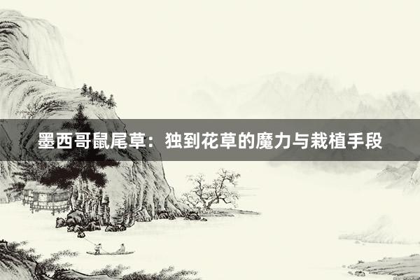 墨西哥鼠尾草：独到花草的魔力与栽植手段